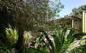 Camps Bay Forest Pods